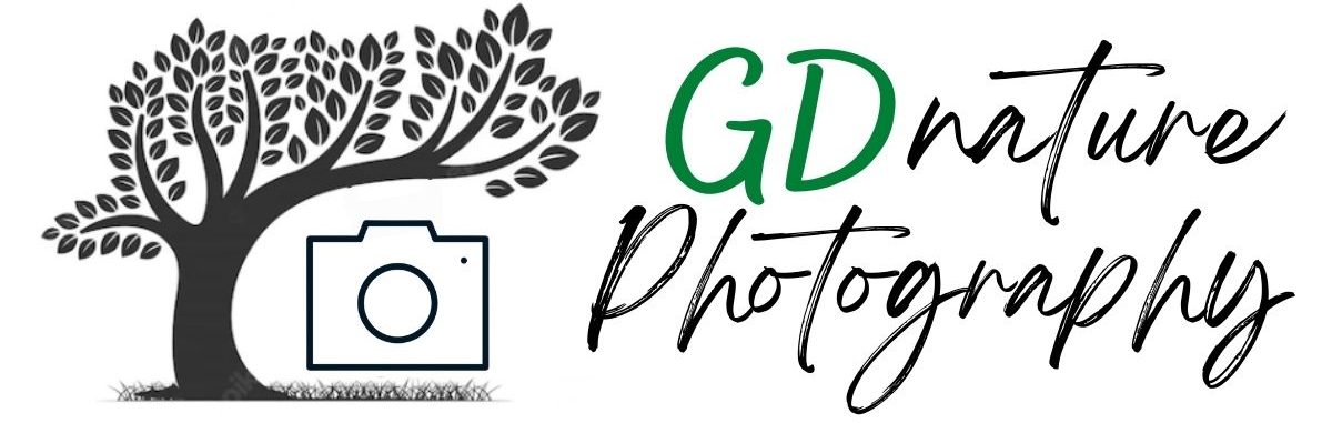 GD Nature Photography