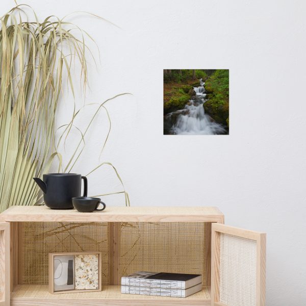 Moraine Creek, Banff National Park, Alberta Canada - Premium Luster Photo Paper Poster (in) - Image 4