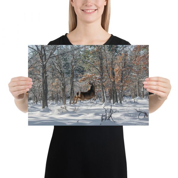 Deer in Snow - Enhanced Matte Paper Poster(in) - Image 6
