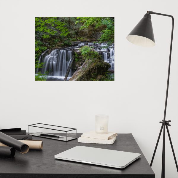 Coquille Falls, Oregon - Premium Luster Photo Paper Poster (in) - Image 9