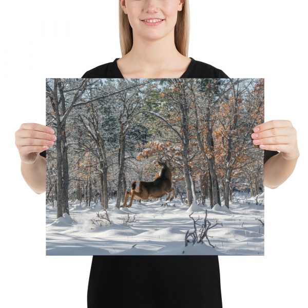 Deer in Snow - Enhanced Matte Paper Poster(in) - Image 9