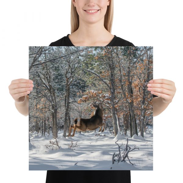 Deer in Snow - Enhanced Matte Paper Poster(in) - Image 10
