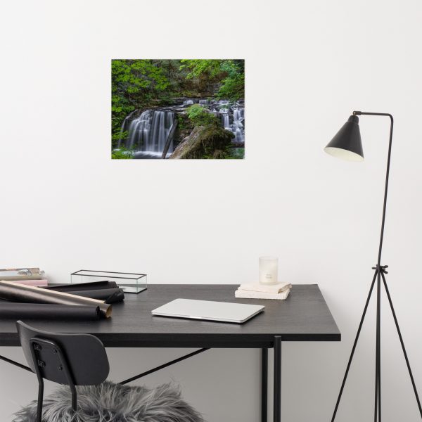 Coquille Falls, Oregon - Premium Luster Photo Paper Poster (in)