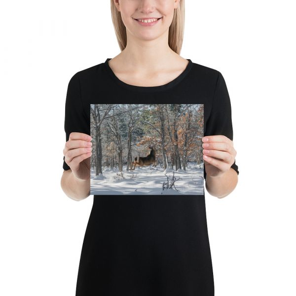 Deer in Snow - Enhanced Matte Paper Poster(in)