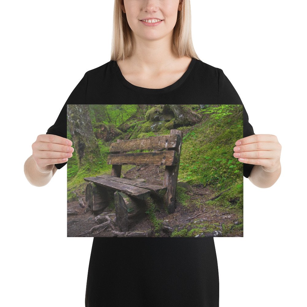 Forrest Bench - Canvas Digital Printing