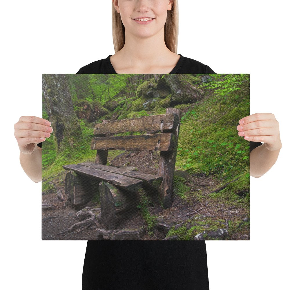Forrest Bench - Canvas Digital Printing - Image 4
