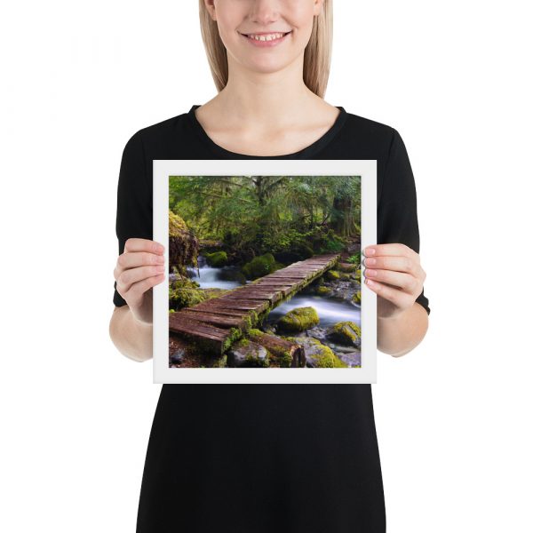 Opal Creek, Oregon -Enhanced Matte Paper Framed Poster (in) - Image 26