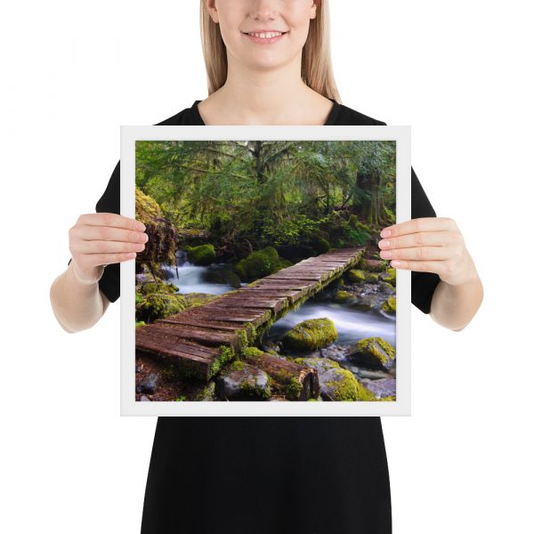 Opal Creek, Oregon -Enhanced Matte Paper Framed Poster (in) - Image 31