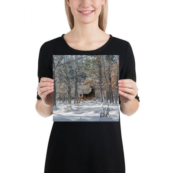 Deer in Snow - Premium Luster Photo Paper Poster (in) - Image 2