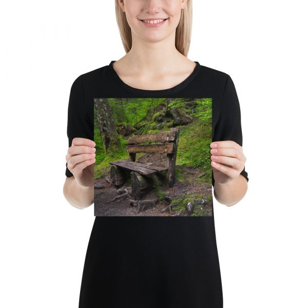 Forrest Bench - Premium Luster Photo Paper Poster (in) - Image 2