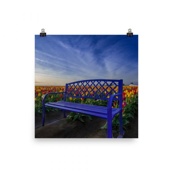 Bench among Tulips - Premium Luster Photo Paper Poster (in) - Image 2