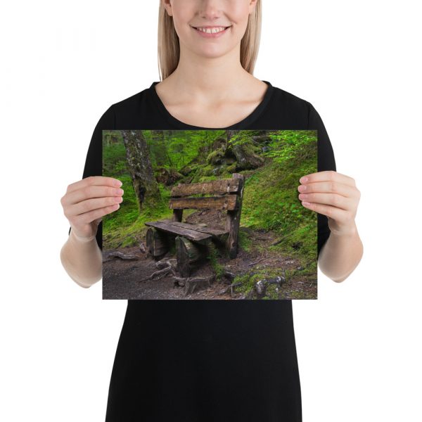 Forrest Bench - Premium Luster Photo Paper Poster (in) - Image 3