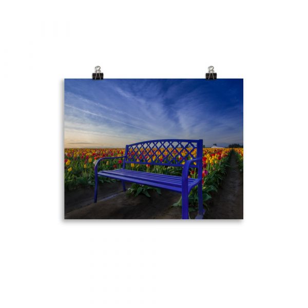 Bench among Tulips - Premium Luster Photo Paper Poster (in) - Image 3