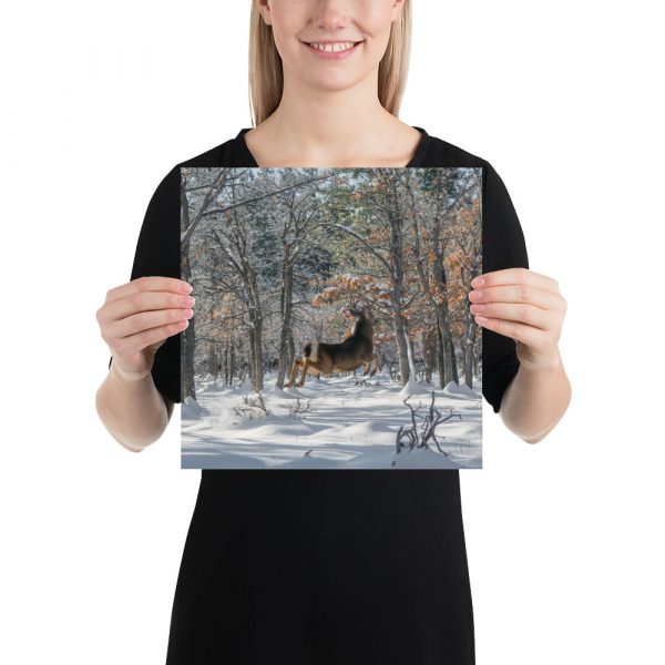 Deer in Snow - Premium Luster Photo Paper Poster (in) - Image 4