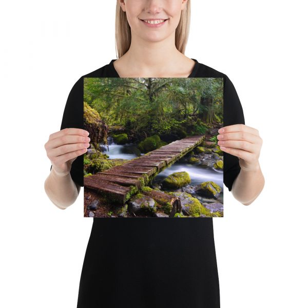 Opal Creek, Oregon - Premium Luster Photo Paper Poster (in) - Image 4