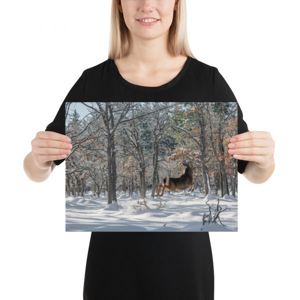 Deer in Snow - Premium Luster Photo Paper Poster (in) - Image 5