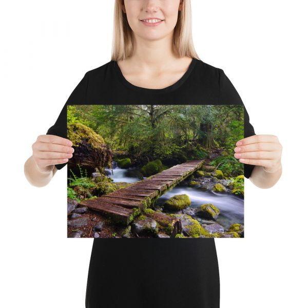 Opal Creek, Oregon - Premium Luster Photo Paper Poster (in) - Image 5