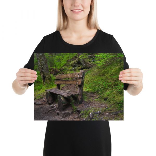 Forrest Bench - Premium Luster Photo Paper Poster (in) - Image 5