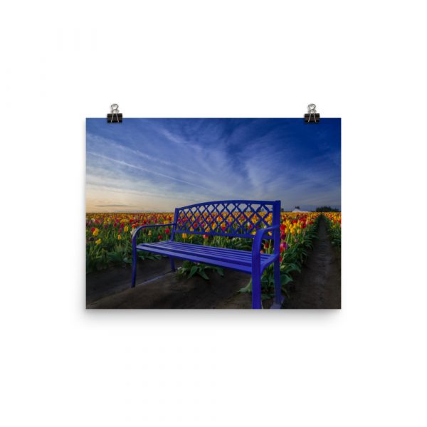 Bench among Tulips - Premium Luster Photo Paper Poster (in) - Image 5