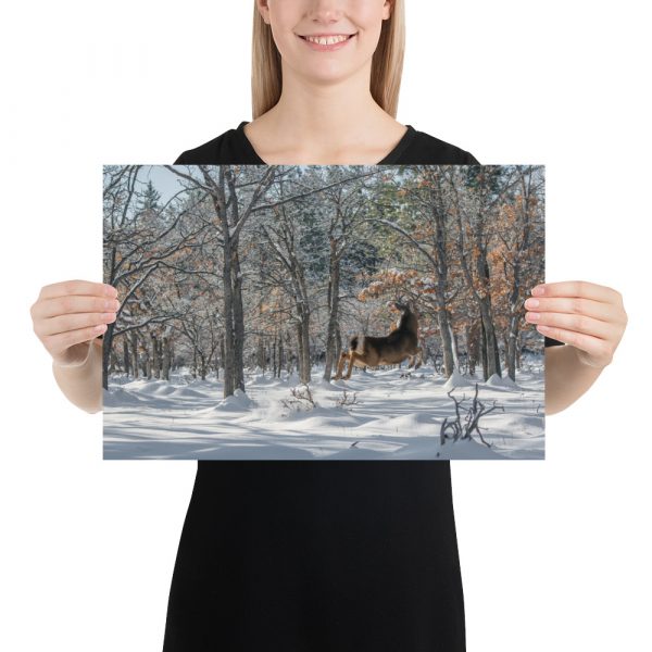 Deer in Snow - Premium Luster Photo Paper Poster (in) - Image 6