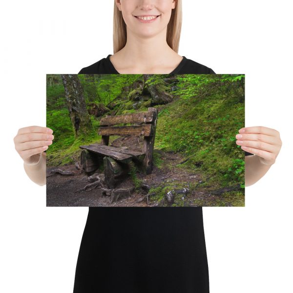Forrest Bench - Premium Luster Photo Paper Poster (in) - Image 6