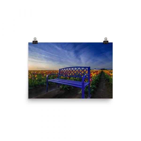 Bench among Tulips - Premium Luster Photo Paper Poster (in) - Image 6