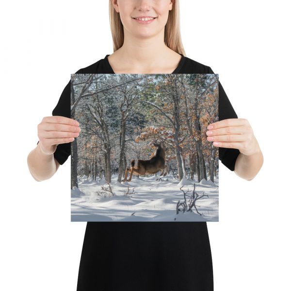 Deer in Snow - Premium Luster Photo Paper Poster (in) - Image 7