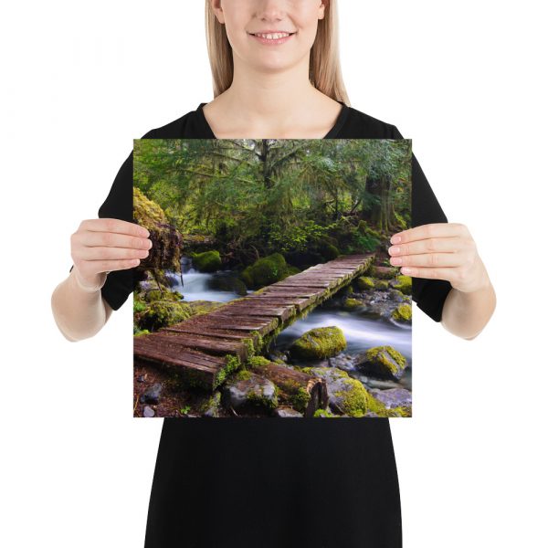 Opal Creek, Oregon - Premium Luster Photo Paper Poster (in) - Image 7