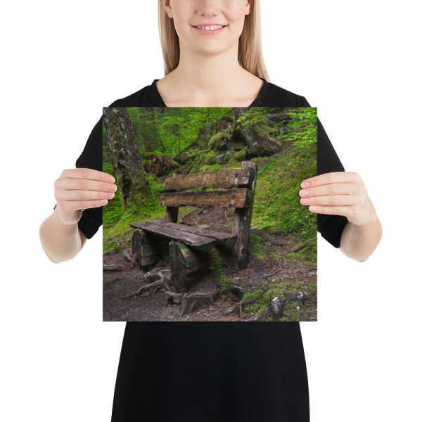 Forrest Bench - Premium Luster Photo Paper Poster (in) - Image 7