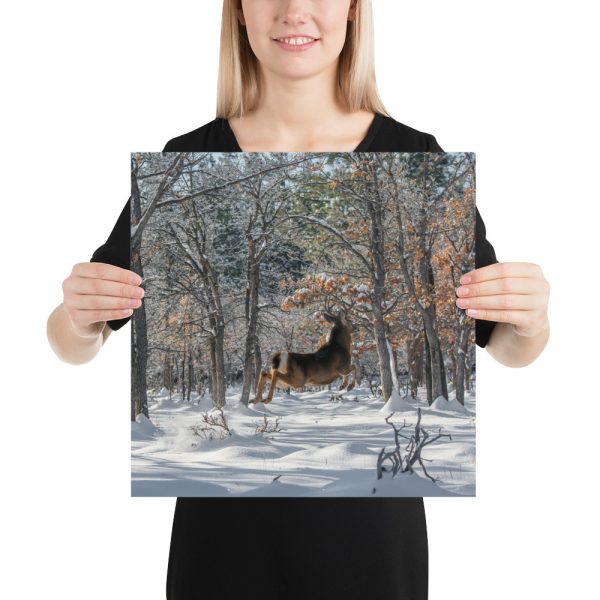 Deer in Snow - Premium Luster Photo Paper Poster (in) - Image 8