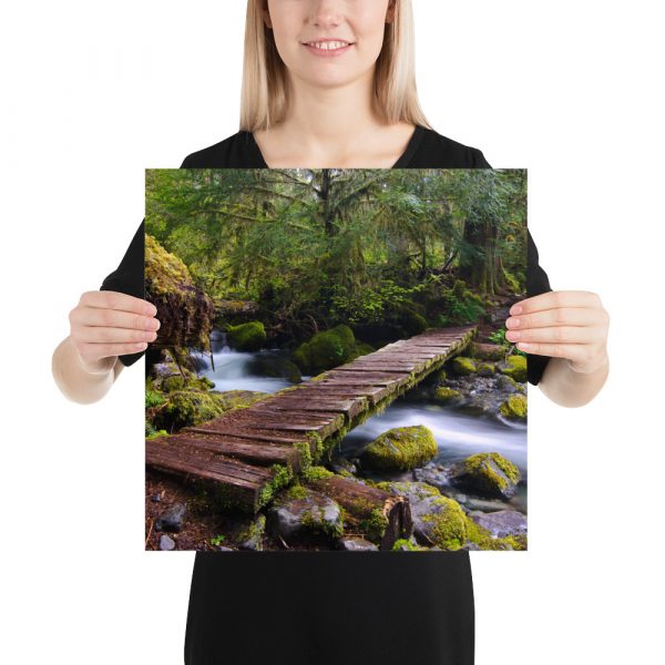 Opal Creek, Oregon - Premium Luster Photo Paper Poster (in) - Image 8