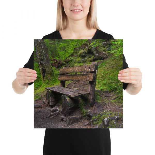 Forrest Bench - Premium Luster Photo Paper Poster (in) - Image 8