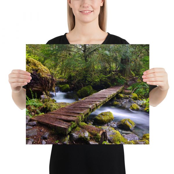 Opal Creek, Oregon - Premium Luster Photo Paper Poster (in) - Image 9