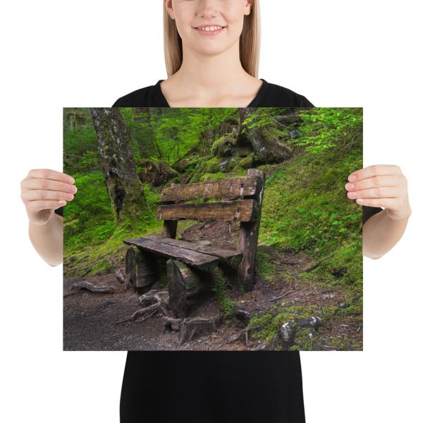 Forrest Bench - Premium Luster Photo Paper Poster (in) - Image 9