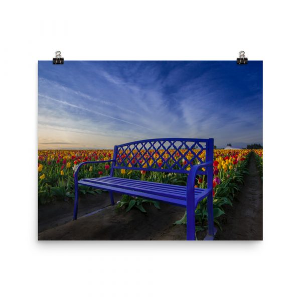 Bench among Tulips - Premium Luster Photo Paper Poster (in) - Image 9