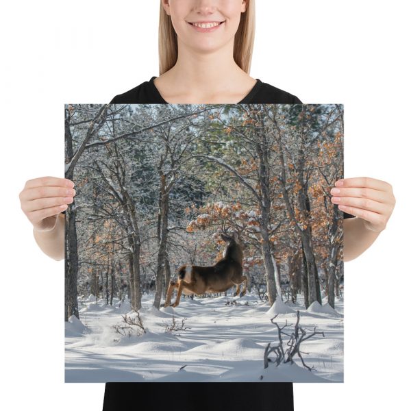 Deer in Snow - Premium Luster Photo Paper Poster (in) - Image 10