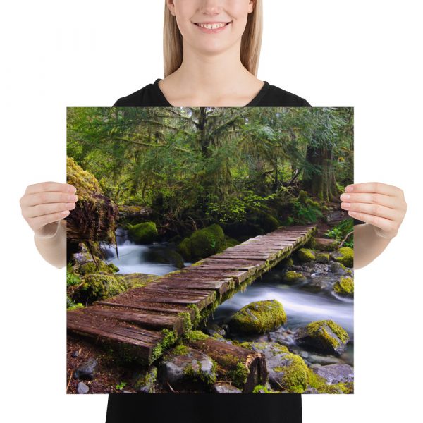 Opal Creek, Oregon - Premium Luster Photo Paper Poster (in) - Image 10