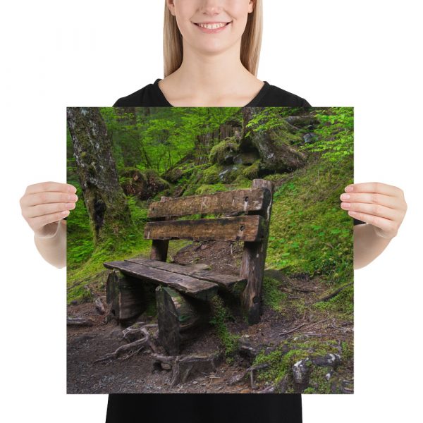 Forrest Bench - Premium Luster Photo Paper Poster (in) - Image 10