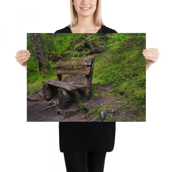 Forrest Bench - Premium Luster Photo Paper Poster (in)