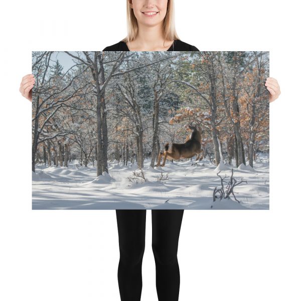 Deer in Snow - Premium Luster Photo Paper Poster (in) - Image 11