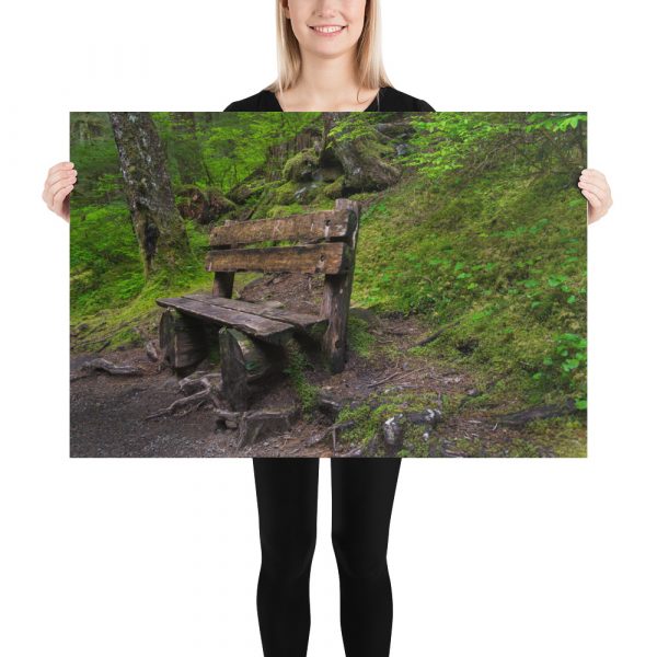 Forrest Bench - Premium Luster Photo Paper Poster (in) - Image 11