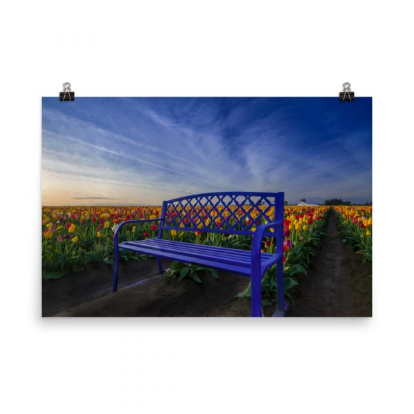 Bench among Tulips - Premium Luster Photo Paper Poster (in) - Image 11