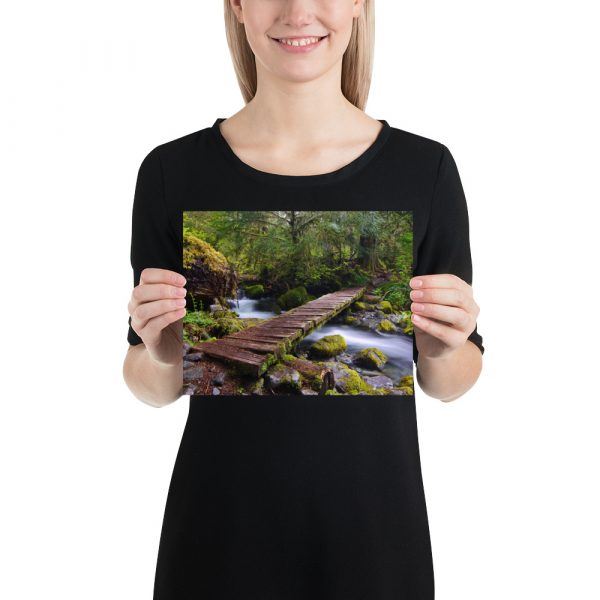 Opal Creek, Oregon - Premium Luster Photo Paper Poster (in) - Image 12
