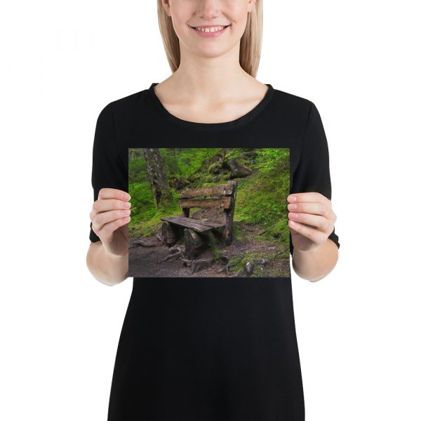Forrest Bench - Premium Luster Photo Paper Poster (in) - Image 12