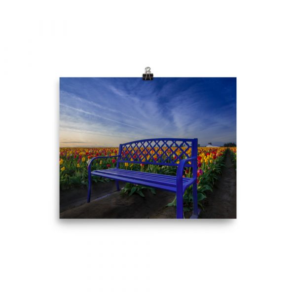 Bench among Tulips - Premium Luster Photo Paper Poster (in) - Image 12