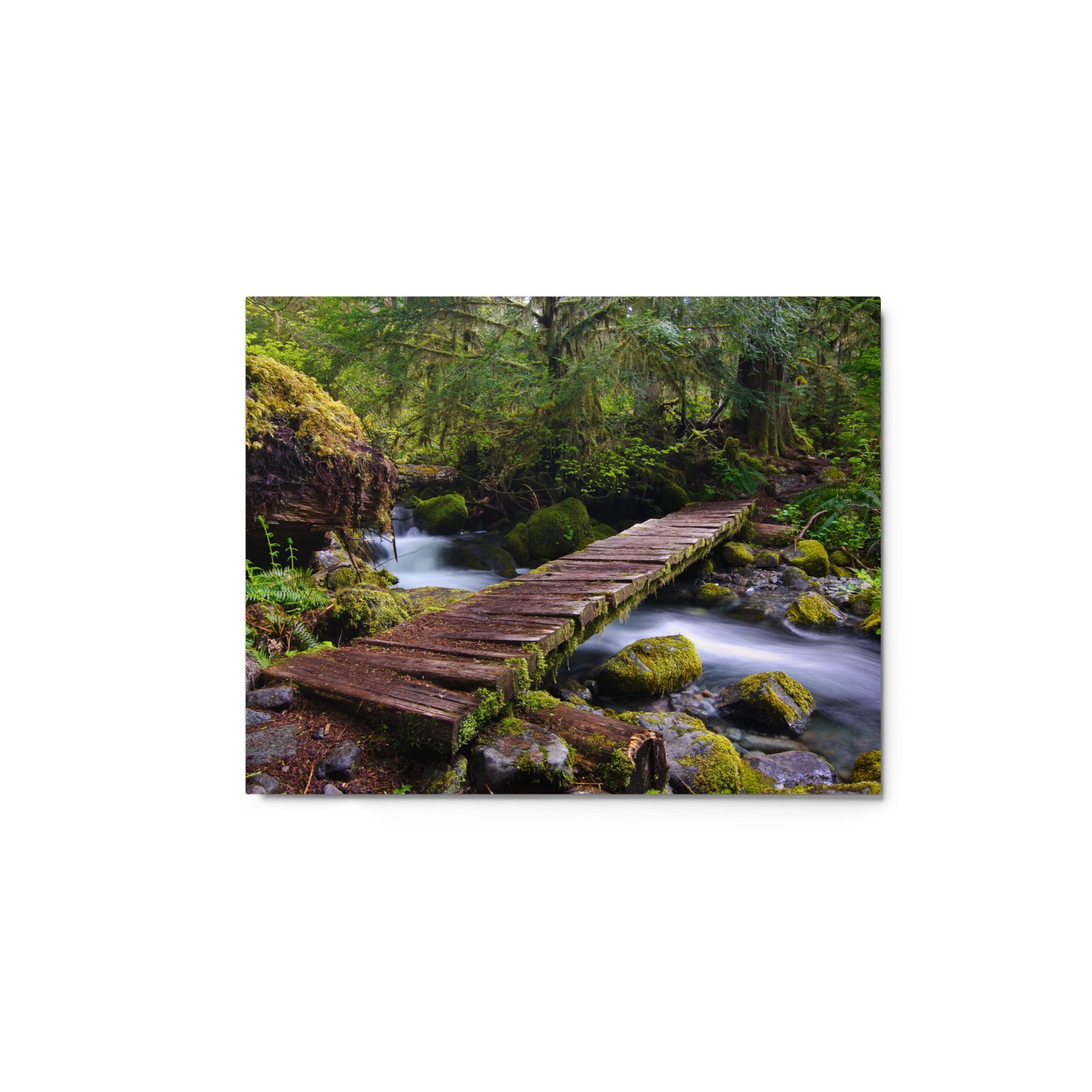 Opal Creek, Oregon - Glossy Metal Print - Image 3
