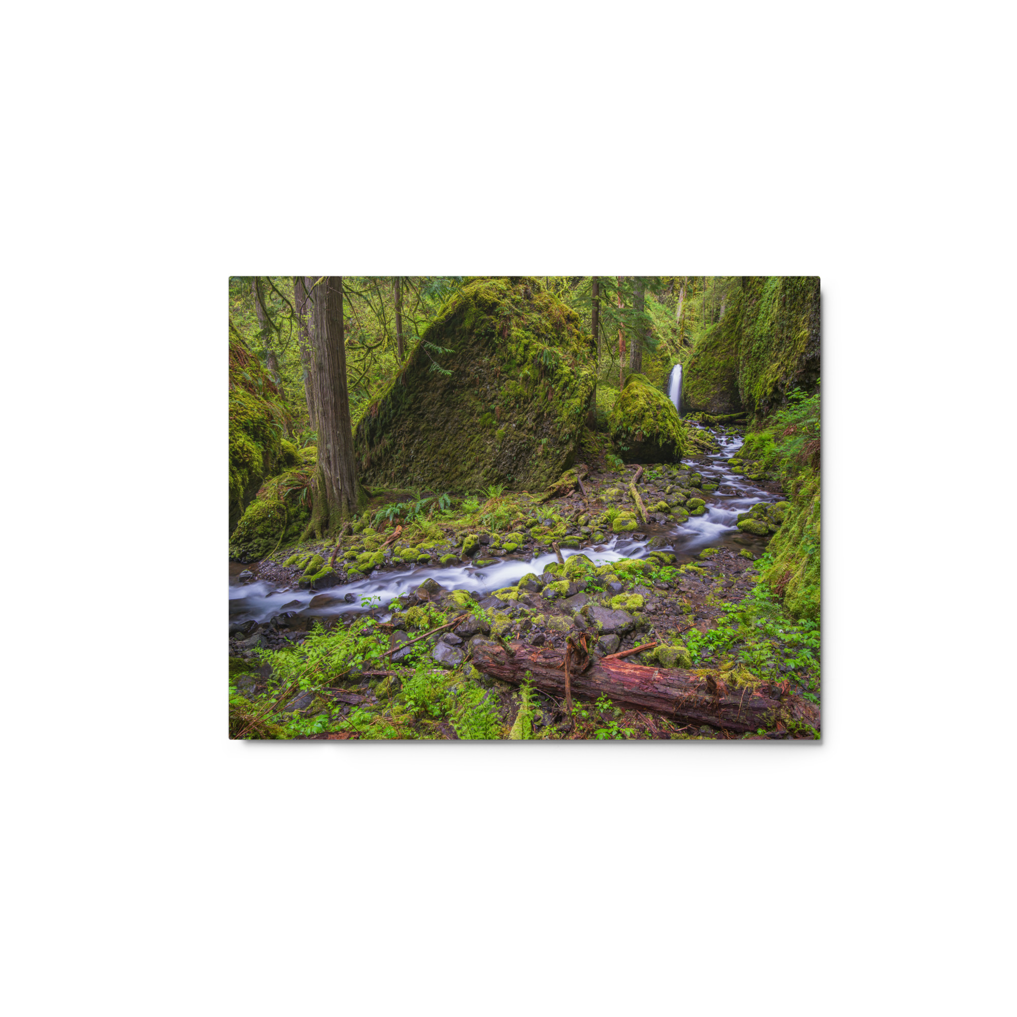 Stream on Mossy Rocks - Glossy Metal Print - Image 3