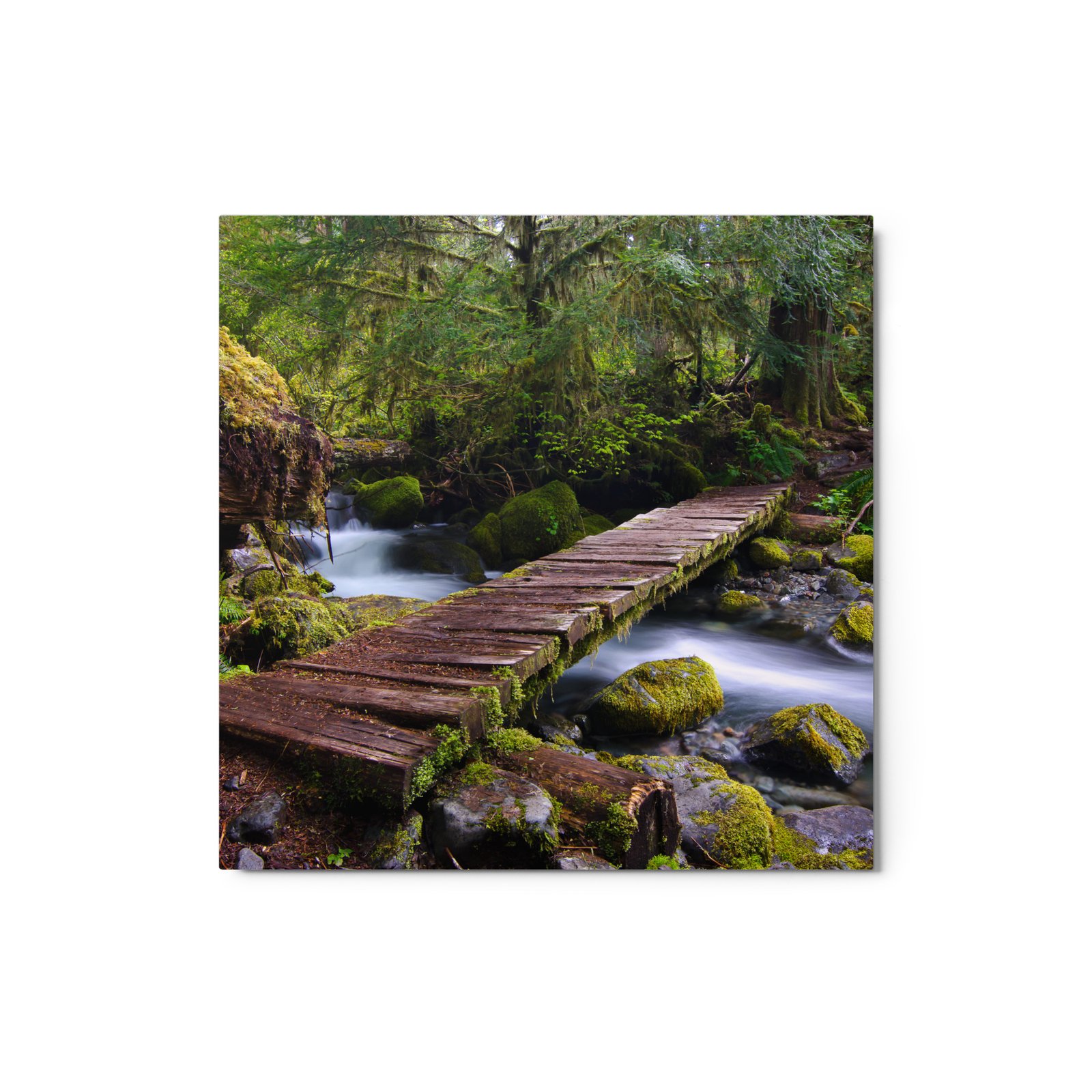 Opal Creek, Oregon - Glossy Metal Print - Image 2