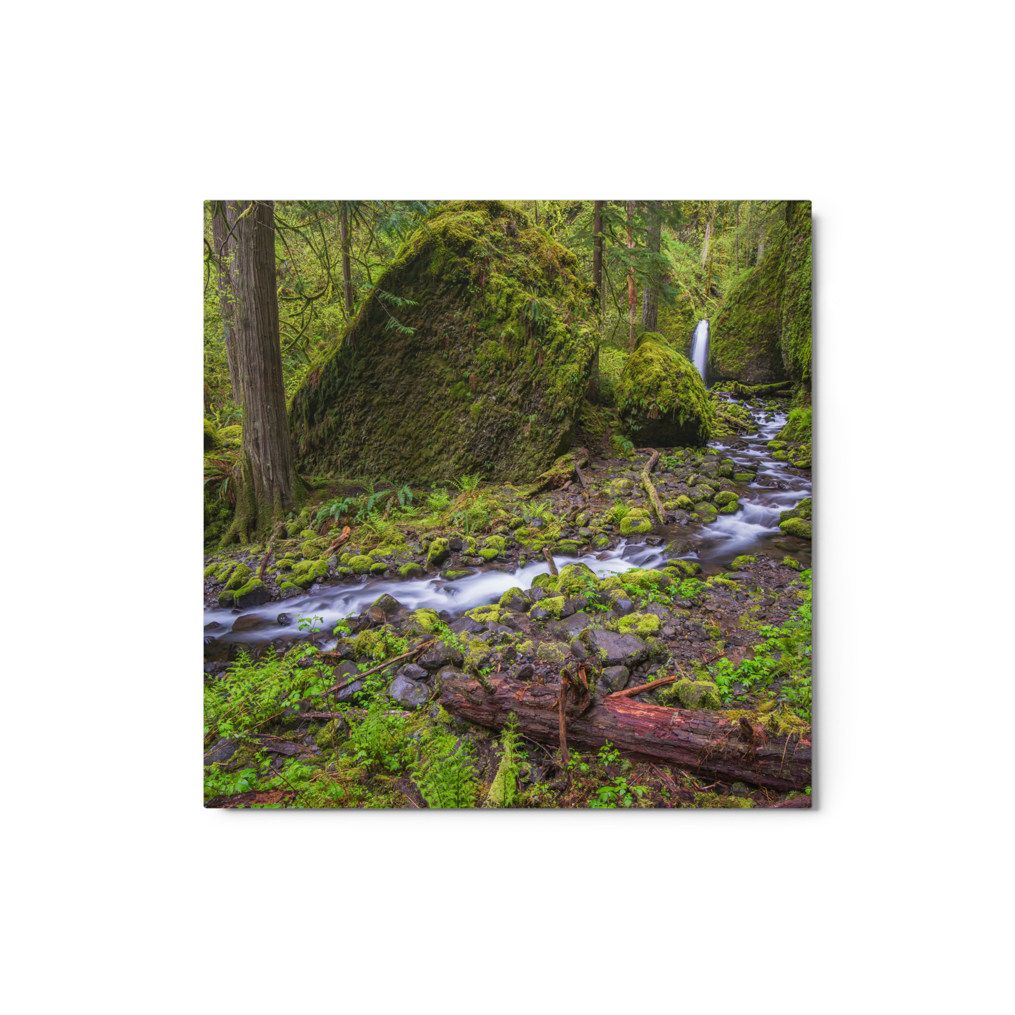 Stream on Mossy Rocks - Glossy Metal Print - Image 2