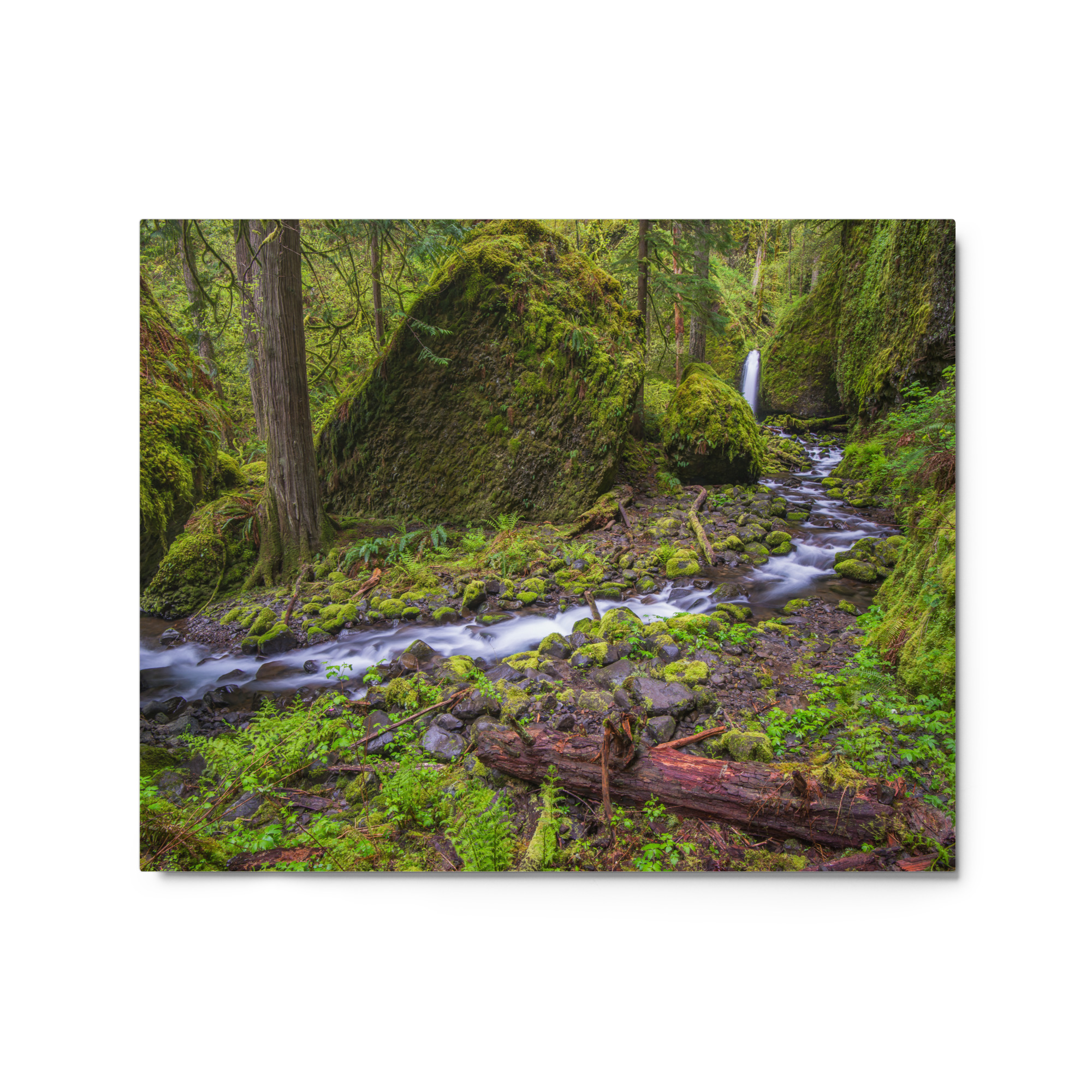 Stream on Mossy Rocks - Glossy Metal Print - Image 4
